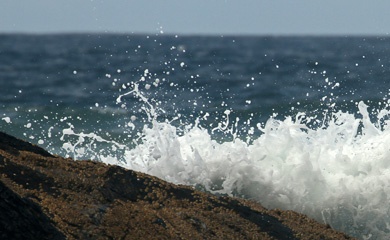IMG_7021b.jpg